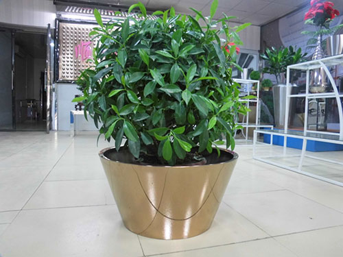 廣東汕頭不銹鋼花盆哪家做的好？